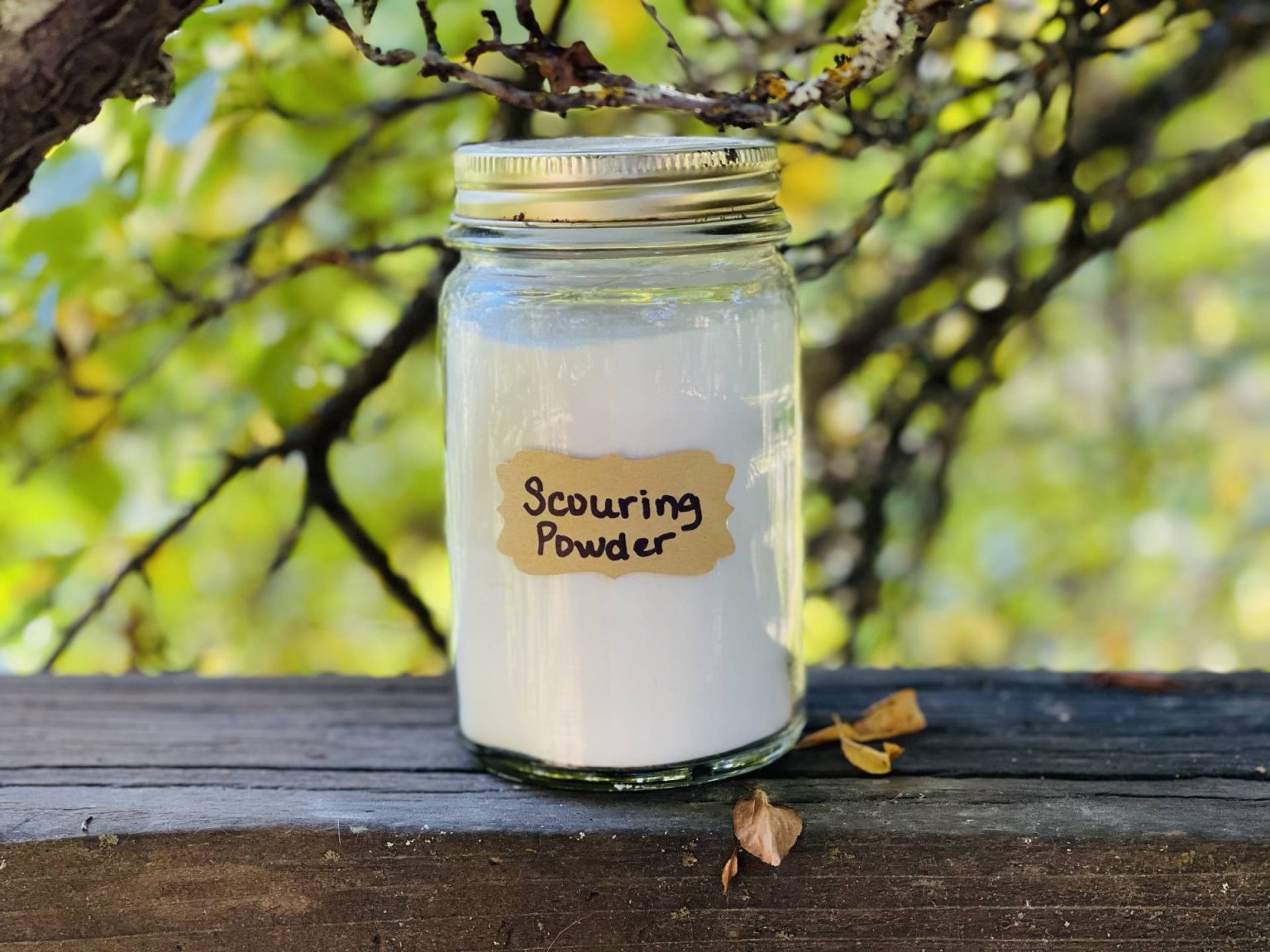 Soft Scrub Cleanser "Goop" and Scouring Powder 2 Homemade Cleaning