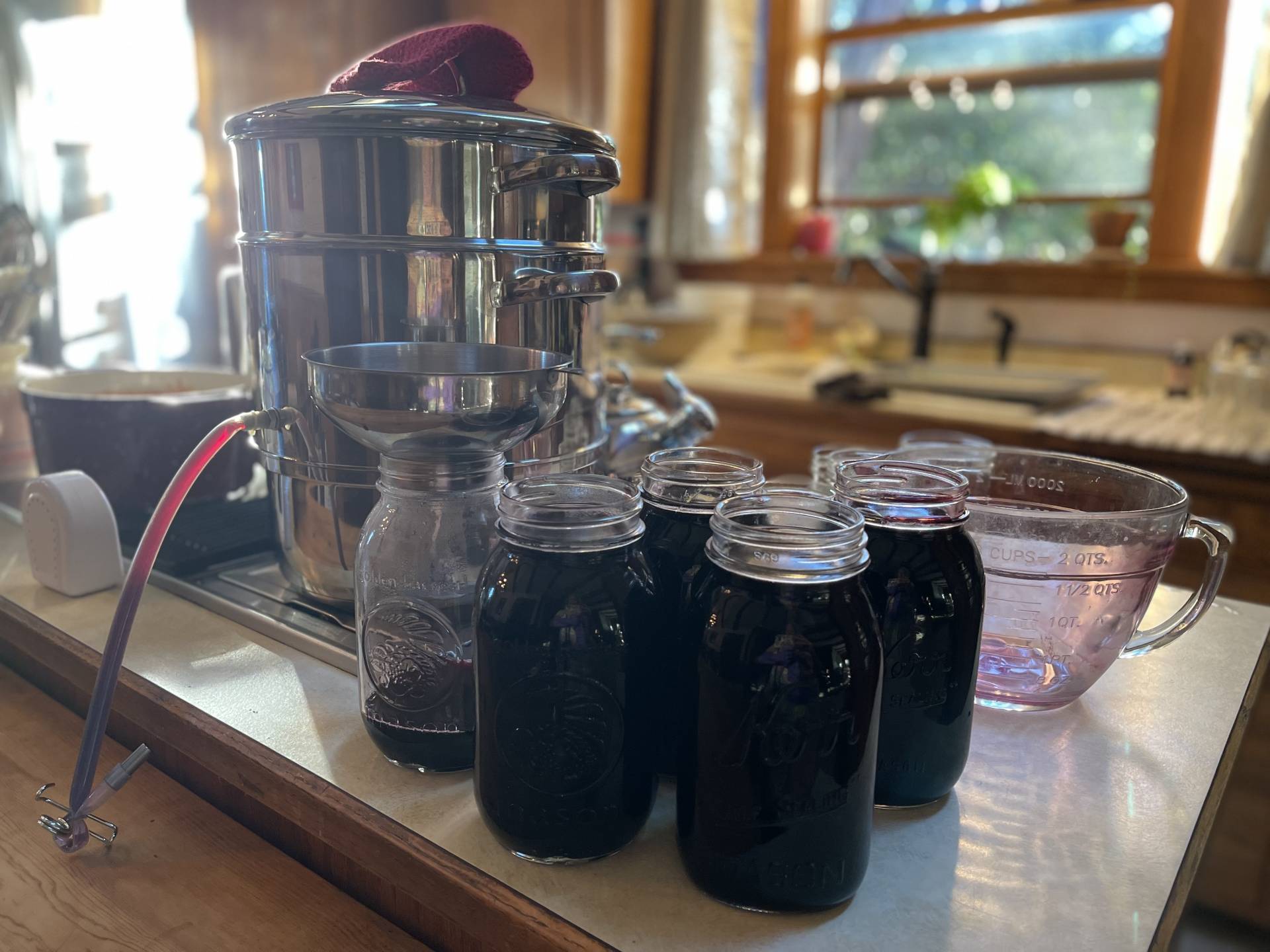 How to Use a Steam Juicer Make Your Own Elderberry Juice with Fresh