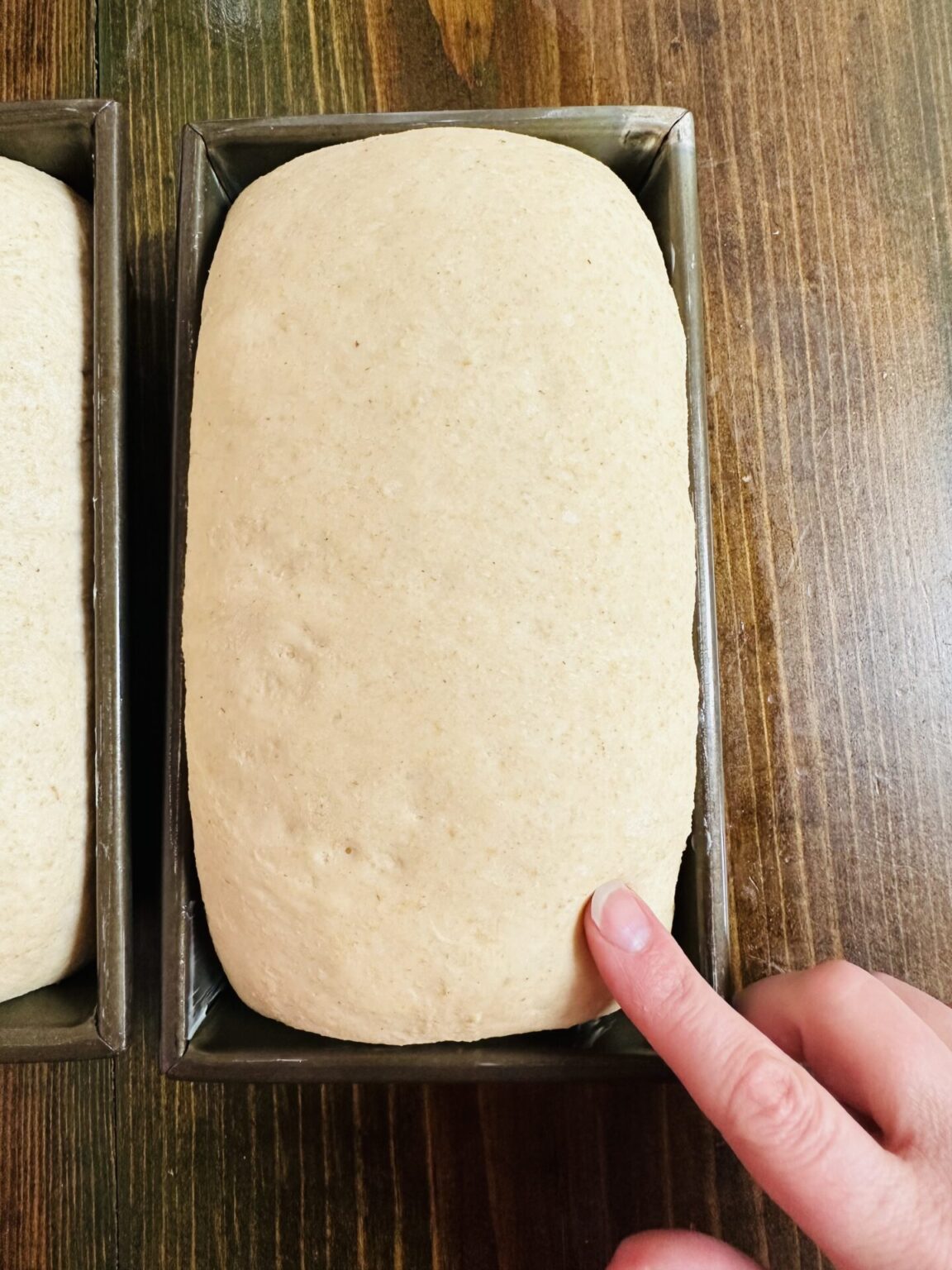 Bread Lasts Longer with This OldTime Technique Potato Sponge Bread • Chocolate Box Cottage
